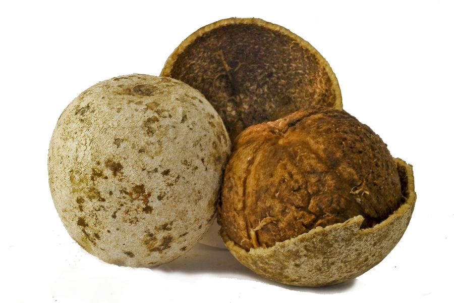 Wood Apple - 500g